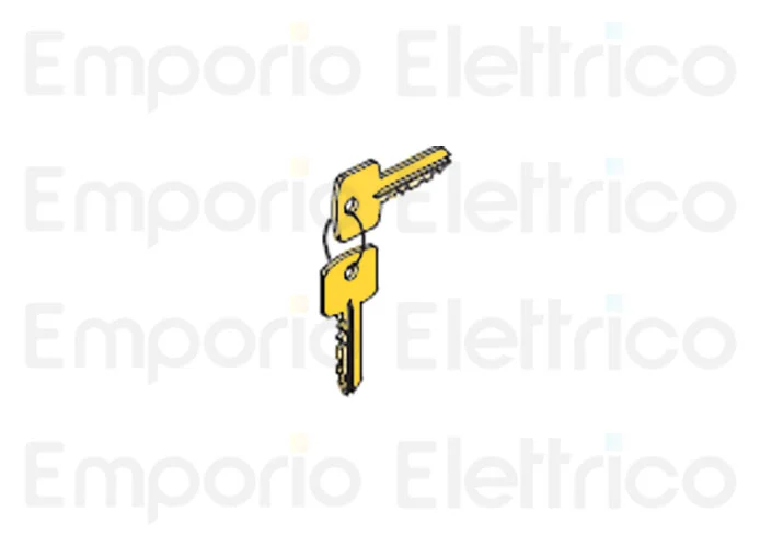 fadini spare part customised encryption key (F0001 F0025) 37201